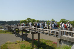 swfu/d/090509buro.jpg