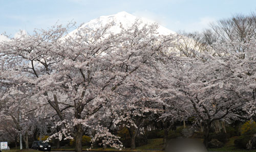 画像の説明 画像の説明