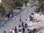 swfu/d/run200902.jpg swfu/d/run200902.jpg