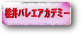 画像の説明 画像の説明